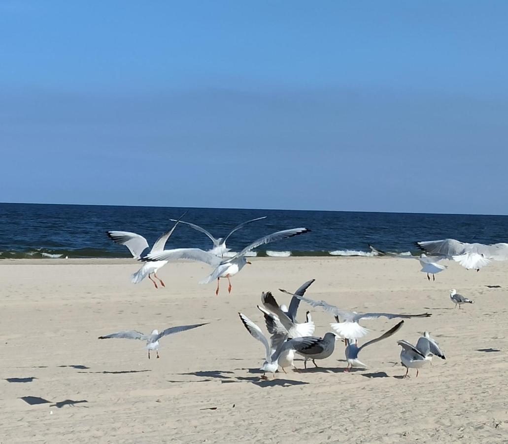 Ferienwohnung Strand25 Trassenheide Exteriör bild