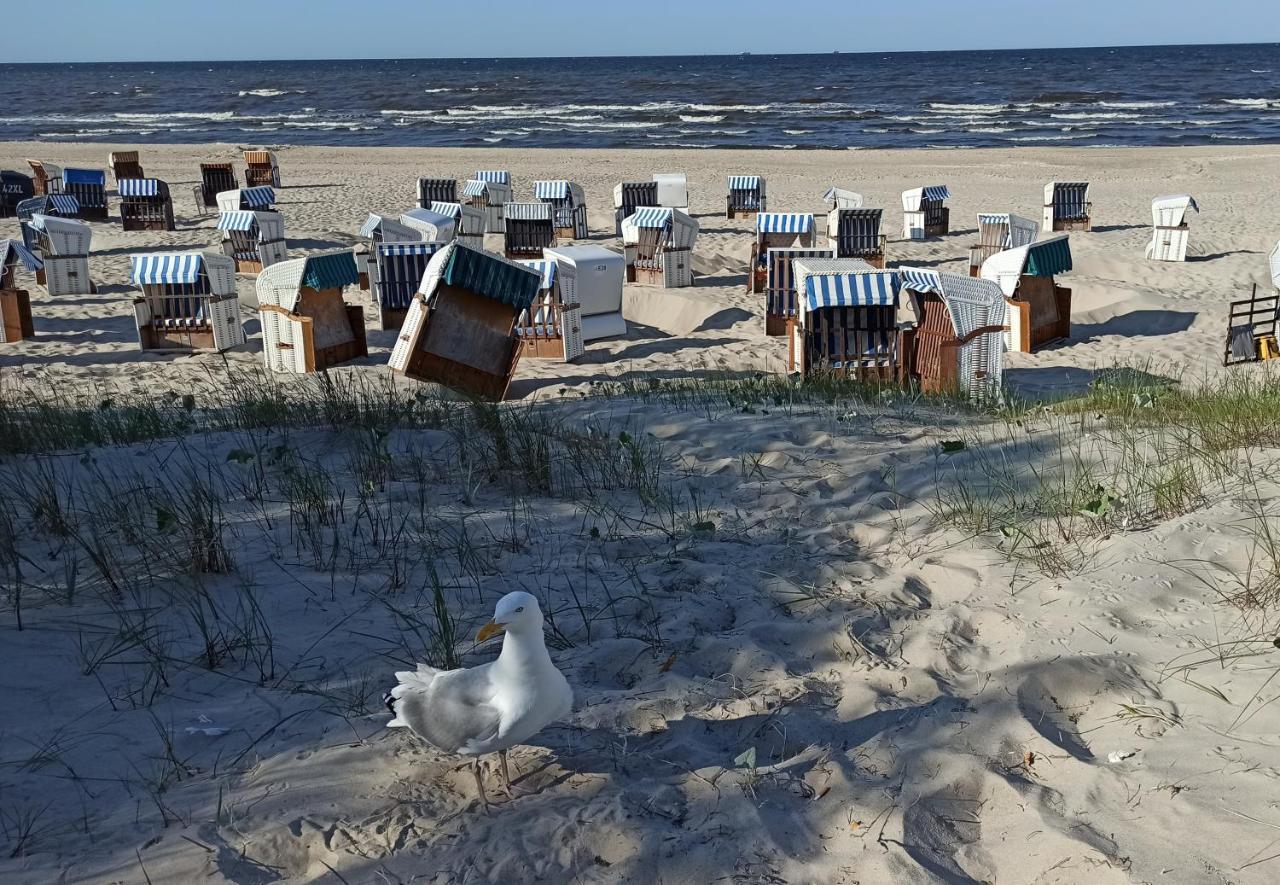 Ferienwohnung Strand25 Trassenheide Exteriör bild